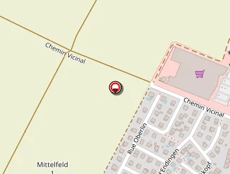 Carte de Holtzweiler René à Erstein