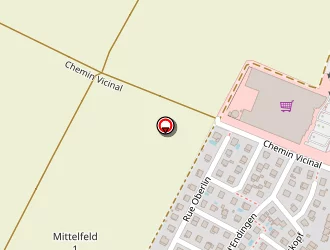 Carte de Breyel-steiner Christine à Erstein