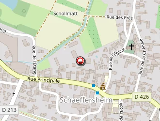 Carte de Car Repair And Paint à Schaeffersheim