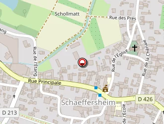 Carte de Falch Denis à Schaeffersheim