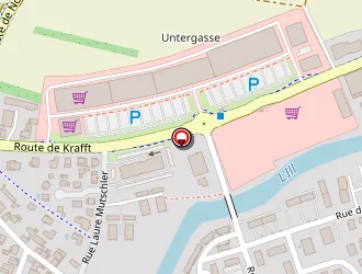 Carte de Bouveret Brice à Erstein