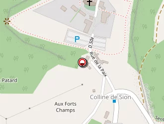 Carte de Duchatel Nicolas à Saxon-sion