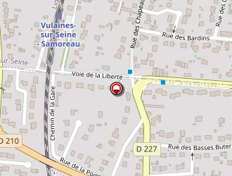 Carte de Institut Papillon à Samoreau