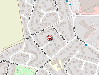 Carte de Pichot Luc à Lucé