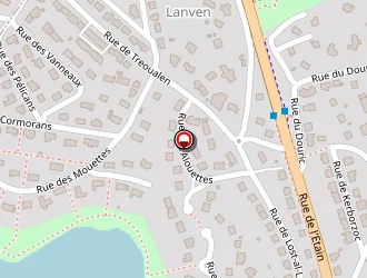 Carte de Tassin Nicolas à Saint-renan