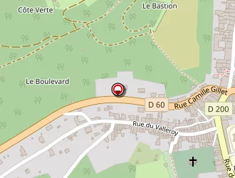 Carte de Dillenschneider Thierry à Joinville