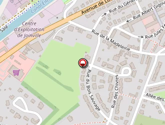 Carte de Souita Samad à Joinville