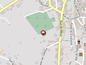 Carte de Strassus Alain à Baccarat