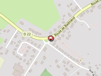 Carte de Rodrigues Eusébio à Baccarat