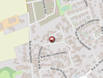 Carte de Construction Suhner à Nordhouse