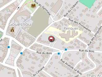 Carte de Mocaer Anne à Gouesnou