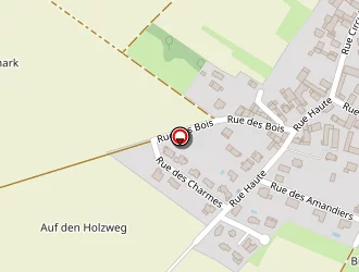 Carte de Boizet Carole à Limersheim