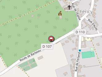 Carte de Madeira Nelson à Féricy