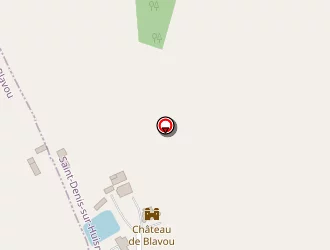 Carte de Senez Pascal à Saint-denis-sur-huisne