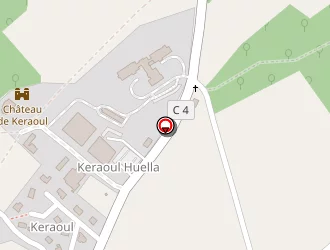 Carte de Cochard Stéphane à Roche-maurice (la)