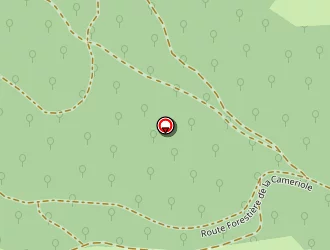 Carte de Baecher Frank à Broque (la)