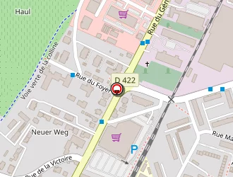 Carte de Duplan - Dezille Magali à Obernai