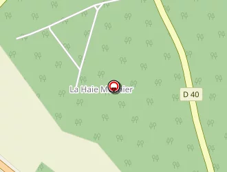 Carte de Ckde Bati à Pamfou