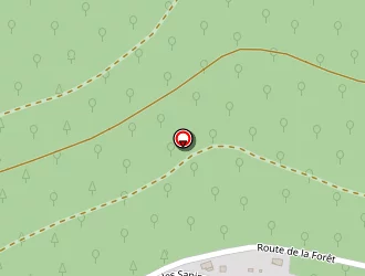 Carte de Engasser Hervé à Klingenthal