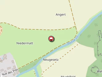 Carte de Manceau Thierry à Hipsheim