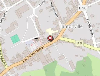 Carte de Nancy Fleurs à Tantonville