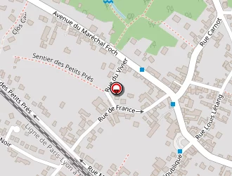 Carte de Bauduin Olivier à Bois-le-roi