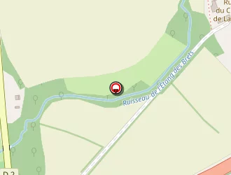 Carte de Cap 300 à Taden