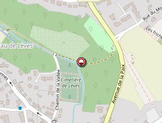 Carte de Coccinelle à Lèves