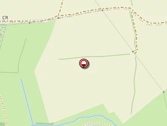 Carte de Naja Eloïse à Milizac