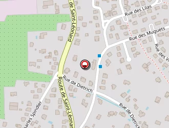 Carte de Seisser Flora à Bœrsch