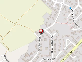 Carte de Aux Petits Soins Brio'chiens à Yffiniac