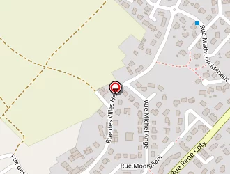 Carte de Salaun Kristell à Yffiniac