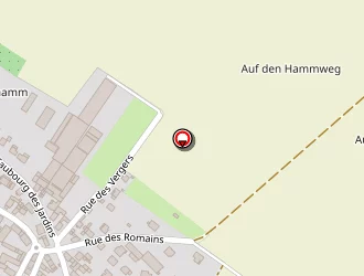 Carte de Fleurs Foessel à Hindisheim