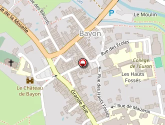 Carte de Caze Alain à Bayon