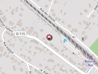 Carte de Gueny Pascal à Bois-le-roi