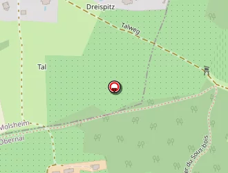 Carte de Pfrimmer André à Obernai