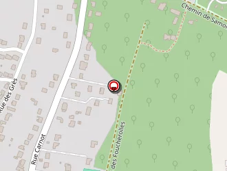 Carte de Sapeurs Pompiers à Bois-le-roi