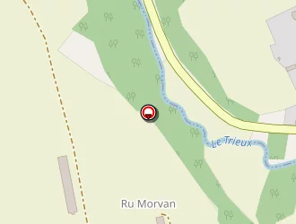 Carte de Georgelin Didier à Plésidy