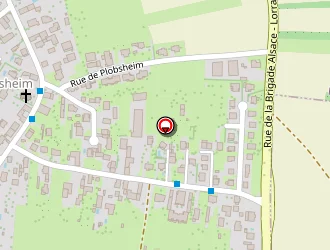 Carte de Schiller Jonathan à Eschau