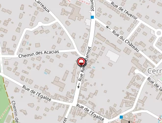 Carte de Transports Régis Marcel à Cerny