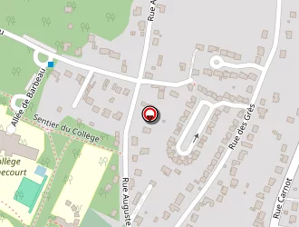 Carte de Opemap à Bois-le-roi