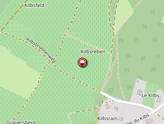 Carte de S.a.f.i.m. à Bischoffsheim