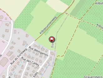 Carte de Aubry Tania à Bœrsch