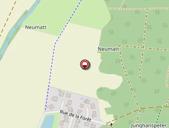 Carte de Figueroa Martine à Ichtratzheim