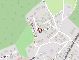 Carte de Sequeira Katia à Schirmeck