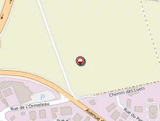 Carte de Fortin Denis à Lèves