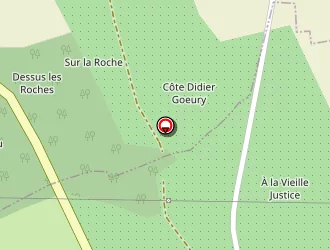 Carte de Taxis Heckenbenner à Lorey