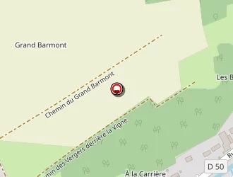 Carte de Perrin Jacques à Vézelise