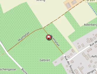 Carte de Gosse Innov à Bischoffsheim