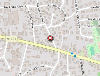 Carte de Ousadane Boissonnet Malaise à Fegersheim